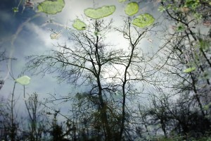Upside down